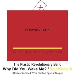 &#39;Why Did You Wake Me?&#39; Single