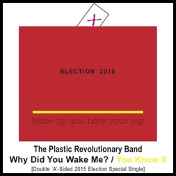 &#39;Why Did You Wake Me?&#39; Single